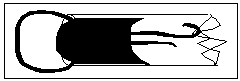 Text Box:  