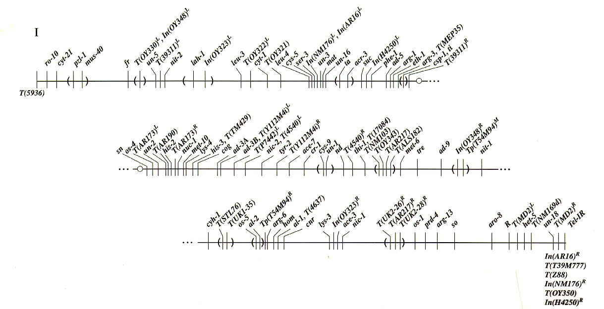 Linkage group I