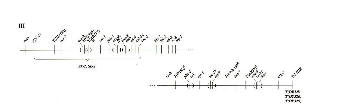 Linkage group III