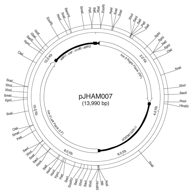 Figure1