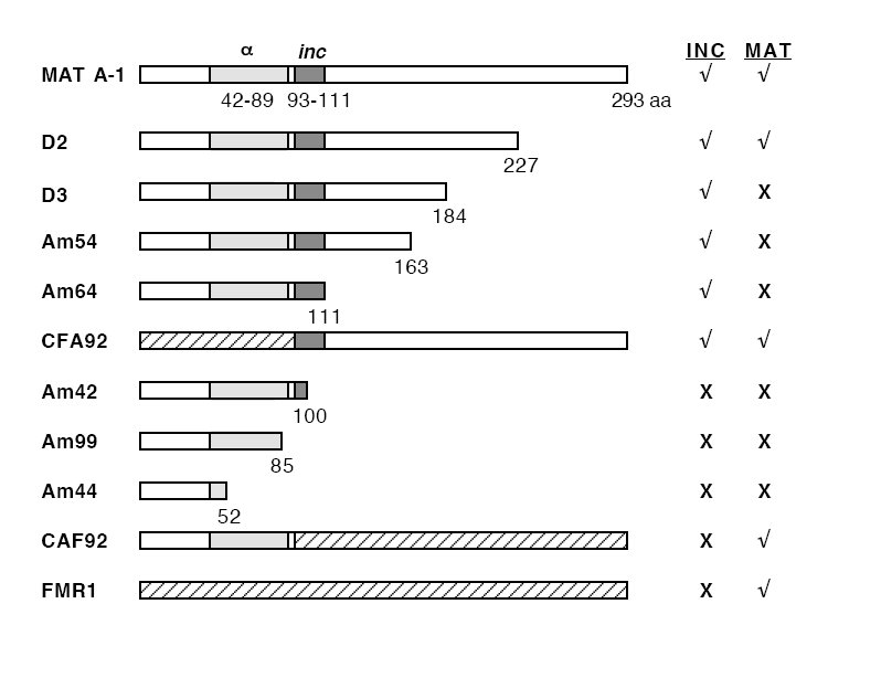 fig2.jpg