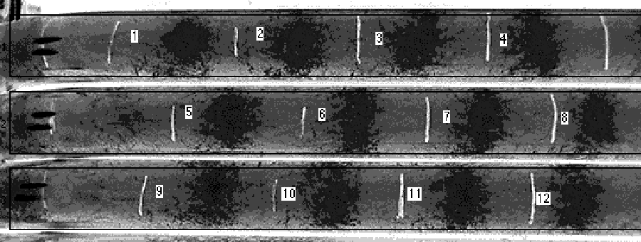 image of scanned race tubes
